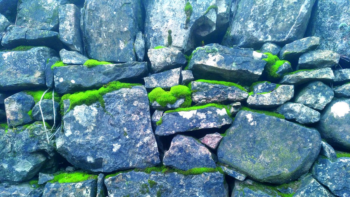 Incertidumbre ante la crisis