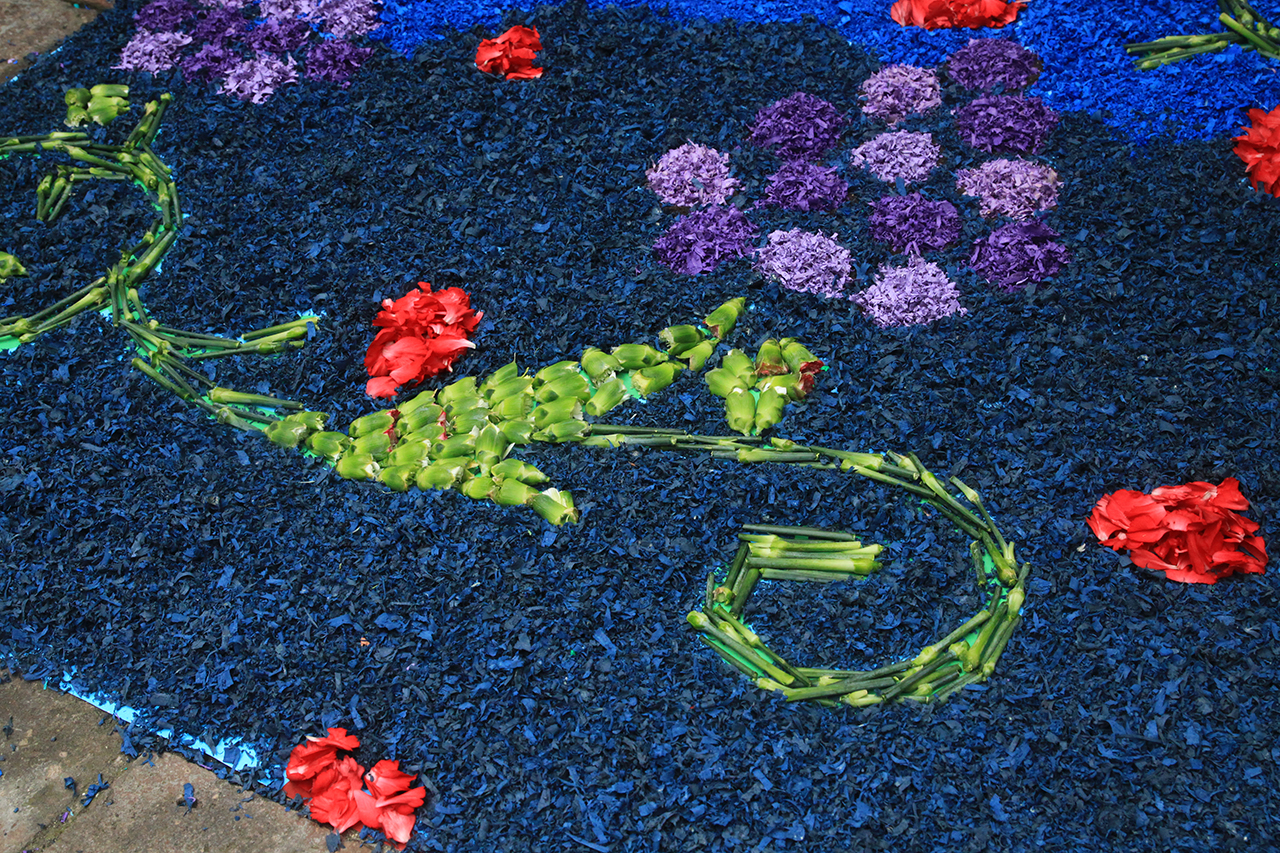 Detalle de la alfombra floral de Corpus 2023 al SCB